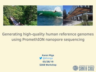 Karen Miga
03/28/19
GIAB Workshop
Generating high-quality human reference genomes
using PromethION nanopore sequencing
@kh...