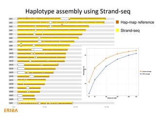 De novo haplotype assembly using Strand-seq allows
mapping of parental meiotic recombination events
 