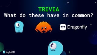 TRIVIA
What do these have in common?
 