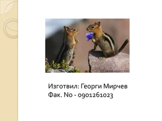 Изготвил: Георги Мирчев
Фак. No - 0901261023
 