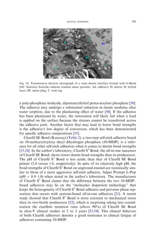 a poly-phosphate molecule, dipentaerythritol penta-acrylate phosphate [50].
The adhesive may undergo a substantial reduction in elastic modulus after
water sorption, due to the plasticizing eﬀect of water [50]. If the adhesive
has been plasticized by water, the restoration will likely fail when a load
is applied on the surface because the stresses cannot be transferred across
the adhesive joint. Another factor that may lead to lower bond strengths
is the adhesive’s low degree of conversion, which has been demonstrated
for speciﬁc adhesive compositions [51].
Clearﬁl SE Bond (Kuraray) (Table 2), a two-step self-etch adhesive based
on 10-methacryloyloxy decyl dihydrogen phosphate (10-MDP), is a refer-
ence for all other self-etch adhesives when it comes to dentin bond strengths
[15,28]. In the author’s laboratory, Clearﬁl S3
Bond, the all-in-one successor
of Clearﬁl SE Bond, shows lower dentin bond strengths than its predecessor.
The pH of Clearﬁl S3
Bond is less acidic than that of Clearﬁl SE Bond
primer (2.4 versus 1.8, respectively). In spite of its relatively high pH, the
bond strengths of Clearﬁl S3
Bond on unground enamel are statistically sim-
ilar to those of a more aggressive self-etch adhesive, Adper Prompt L-Pop
(pH ¼ 0.9–1.0) when tested in the author’s laboratory. The manufacturer
of Clearﬁl S3
Bond claims that the diﬀerence between the two 10-MDP–
based adhesives may lie on the ‘‘molecular dispersion technology’’ that
keeps the homogeneity of Clearﬁl S3
Bond adhesive and prevents phase sep-
aration that occurs with acetone-based all-in-one adhesives [21]. A recent
study showed that Clearﬁl S3
Bond is more resistant to mechanical stress
than its two-bottle predecessor [52], which is surprising taking into consid-
eration the excellent retention rates (above 90%) of Clearﬁl SE Bond
in class-V clinical studies at 2 to 3 years [53,54]. This clinical behavior
of both Clearﬁl adhesives denotes a good resistance to clinical fatigue of
adhesives containing 10-MDP.
Fig. 14. Transmission electron micrograph of a resin–dentin interface formed with G-Bond
(GC America) Asterisks indicate residual smear particles. Ad, adhesive; D, dentin; H, hybrid
layer; SP, smear plug; T, resin tag.
343DENTAL ADHESION
 