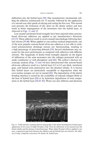 inﬁltration into the hybrid layer [38]. One manufacturer recommends rub-
bing the adhesive continuously for 15 seconds, followed by the application
of a second coat after gentle air-drying and curing the ﬁrst coat. This second
coat prevents the formation of dry spots on the dentin surface and may
result in better impregnation of the monomers into the hybrid layer, as
observed in Figs. 11 and 12.
Low enamel and dentin bond strengths have been reported when acetone-
based all-in-one adhesives are applied as per manufacturer’s directions
[33,37]. These adhesives result in severe enamel microleakage following ther-
mal stresses [39,40]. When applied to one-surface occlusal preparations, one
of the most popular acetone-based all-in-one adhesives is not able to with-
stand polymerization shrinkage stresses nor thermocycling, resulting in
a high percentage of pretesting debonds [33]. Several mechanisms may ac-
count for this poor performance as compared with adhesives with diﬀerent
solvents. The magnitude of dentin bond strengths depends on the degree
of inﬁltration of the resin monomers into the collagen pretreated with an
acidic conditioner or with phosphoric acid [41]. The author’s electron mi-
croscopy analyses (Figs. 13 and 14) have demonstrated that acetone-based
all-in-one adhesives result in a hybrid layer 0.2 to 0.5 mm thick, interfacial
gaps, and limited resin penetration into the dentinal tubules. It is known
that hybrid layers are particularly susceptible to degradation when the
cavo-surface margins are not in enamel [42]. The degradation of the dentin
bonding interface is caused by the availability of exposed collagen ﬁbrils at
the base of hybrid layer [43] or by hydrolytic degradation of resin compo-
nents in the hybrid layer [28,43–45]. Water can also inﬁltrate and plasticize
Fig. 11. Field emission scanning electron micrograph of the dentin hybridization formed upon
application of two coats of Adper Prompt L-Pop. Note the inﬁltration of the material into the
dentin tubules and the absence of interfacial gaps. When Adper Prompt L-Pop is applied in one
coat, a separation gap forms between the adhesive and the hybrid layer (not shown). Ad, adhe-
sive; Comp, composite restoration; D, dentin; H, hybrid layer.
341DENTAL ADHESION
 