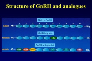 Structure of GnRH and analogues 
 
