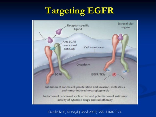 New developments of targeted therapy in nsclc