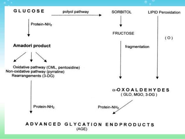 non enzymatic glycation in diabetes enzymatic diagram of glycolysis 