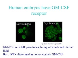 Human embryos have GM-CSF
             receptor
                   21

          Day 8 embryo          Day 5 embryo




                              Sjolblom et al Biol Reprod 2002

GM-CSF is in fallopian tubes, lining of womb and uterine
fluid
But : IVF culture medias do not contain GM-CSF
 