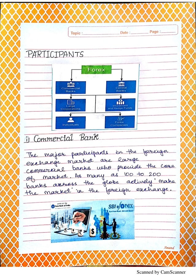 foreign exchange rate project class 12