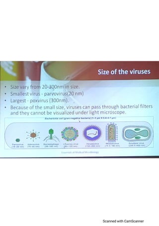 General Properties Of Viruses | PDF