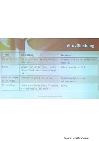 General Properties Of Viruses | PDF