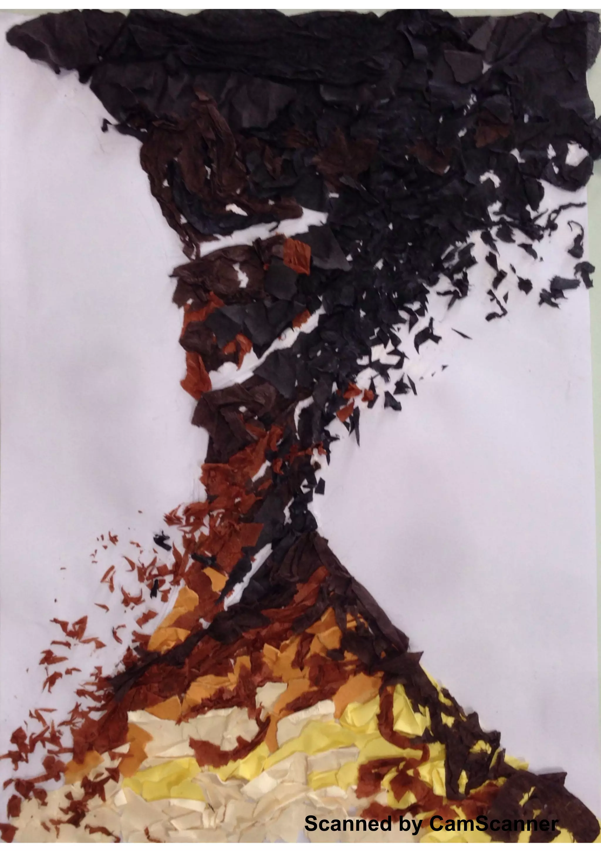 Scanned by CamScanner