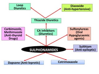 SULPHONAMIDES
CA inhibitors
(Diuretics)
Thiazide Diuretics
Loop
Diuretics
Sulfonylureas
(Oral
Hypoglycaemic
agents)
Carbimazole,
Methimazole
(Anti-thyroid
Drugs)
Diazoxide
(Anti-hypertensive)
Dapsone (Anti-leprotic)
Sulthiam
(Anti-epileptic)
Cotrimoxazole
 