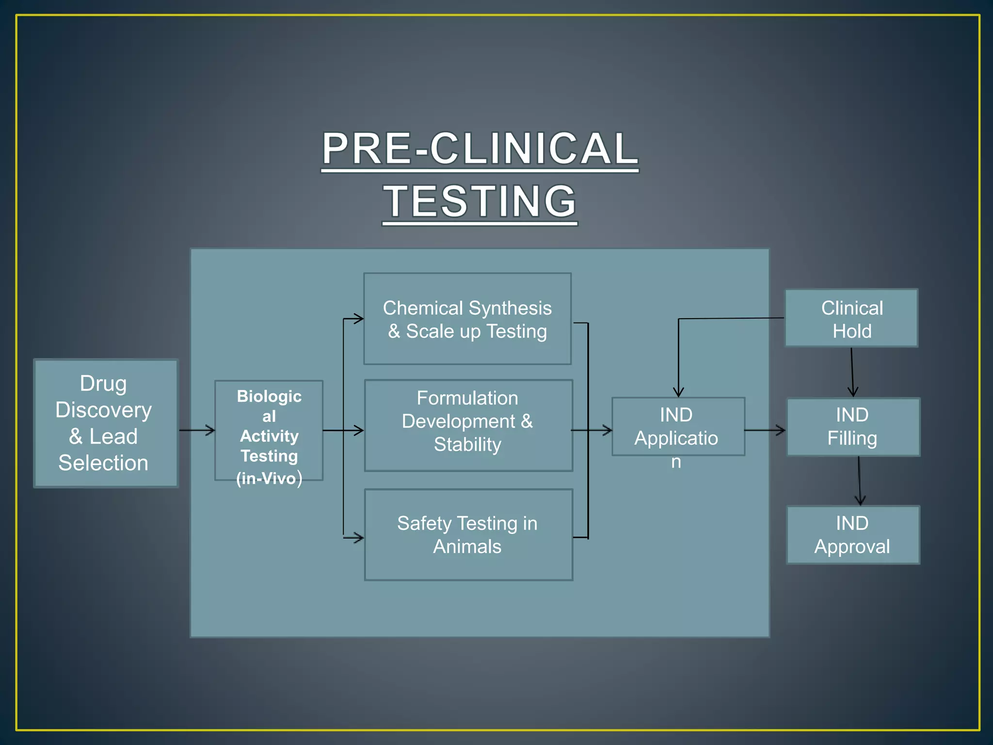 Drug
Discovery
& Lead
Selection
Biologic
al
Activity
Testing
(in-Vivo)
Chemical Synthesis
& Scale up Testing
Formulation
Development &
Stability
Safety Testing in
Animals
IND
Applicatio
n
Clinical
Hold
IND
Filling
IND
Approval
 