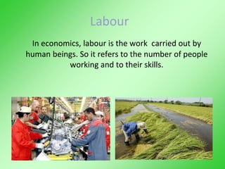 Labour
In economics, labour is the work carried out by
human beings. So it refers to the number of people
working and to their skills.
 