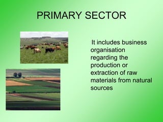 PRIMARY SECTOR
It includes business
organisation
regarding the
production or
extraction of raw
materials from natural
sources
 