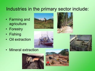 Industries in the primary sector include:
• Farming and
agriculture
• Forestry
• Fishing
• Oil extraction
• Mineral extraction
 
