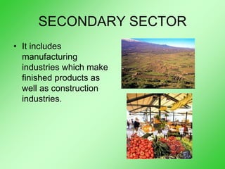 SECONDARY SECTOR
• It includes
manufacturing
industries which make
finished products as
well as construction
industries.
 