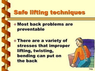 Safe lifting techniques
 Most back problems are
preventable
 There are a variety of
stresses that improper
lifting, twisting,
bending can put on
the back
14a
 