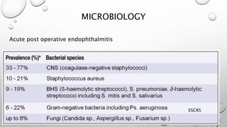 MICROBIOLOGY
ESCRS
Acute post operative endophthalmitis
 