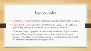 Lipopeptides
• Developed for the treatment of vancomycin-resistant enterococcal infections
• Daptomycin- approved by FDA in 2003 for the treatment of SSTIs and
approved in 2006 for the treatment of blood stream infections
• MOA: inserting its lipophilic tail into the cell membrane of gram-positive
organisms This calcium dependent process leads to the formation of
channels from which intracellular potassium is lost disrupting the bacterial
cell membrane potential and causing cell death.
 