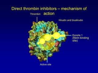 Direct thrombin inhibitorsHirudinRecombinant proteinsSynthetic moleculesDerived from leech (Hirudo medicinalis)