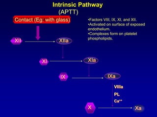 Intrinsic Pathway (APTT)Factors VIII, IX, XI, and XII.