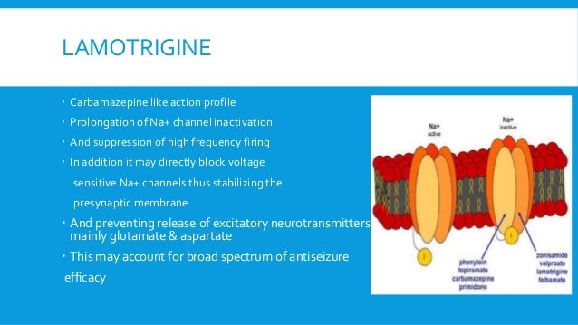 gabapentin and tegretol together