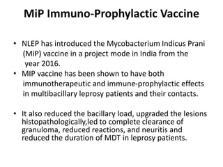 MiP Immuno-Prophylactic Vaccine
• NLEP has introduced the Mycobacterium Indicus Prani
(MiP) vaccine in a project mode in India from the
year 2016.
• MIP vaccine has been shown to have both
immunotherapeutic and immune-prophylactic effects
in multibacillary leprosy patients and their contacts.
• It also reduced the bacillary load, upgraded the lesions
histopathologically,led to complete clearance of
granuloma, reduced reactions, and neuritis and
reduced the duration of MDT in leprosy patients.
 