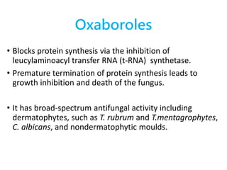 Oxaboroles
• Blocks protein synthesis via the inhibition of
leucylaminoacyl transfer RNA (t-RNA) synthetase.
• Premature termination of protein synthesis leads to
growth inhibition and death of the fungus.
• It has broad-spectrum antifungal activity including
dermatophytes, such as T. rubrum and T.mentagrophytes,
C. albicans, and nondermatophytic moulds.
 