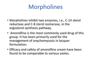 Morpholines
• Morpholines inhibit two enzymes, i.e., C-14 sterol
reductase and C-8 sterol isomerase, in the
ergosterol synthesis pathway.
• Amorolfine is the most commonly used drug of this
group. It has been primarily used for the
management of onychomycosis in lacquer
formulation.
• Efficacy and safety of amorolfine cream have been
found to be comparable to various azoles.
 