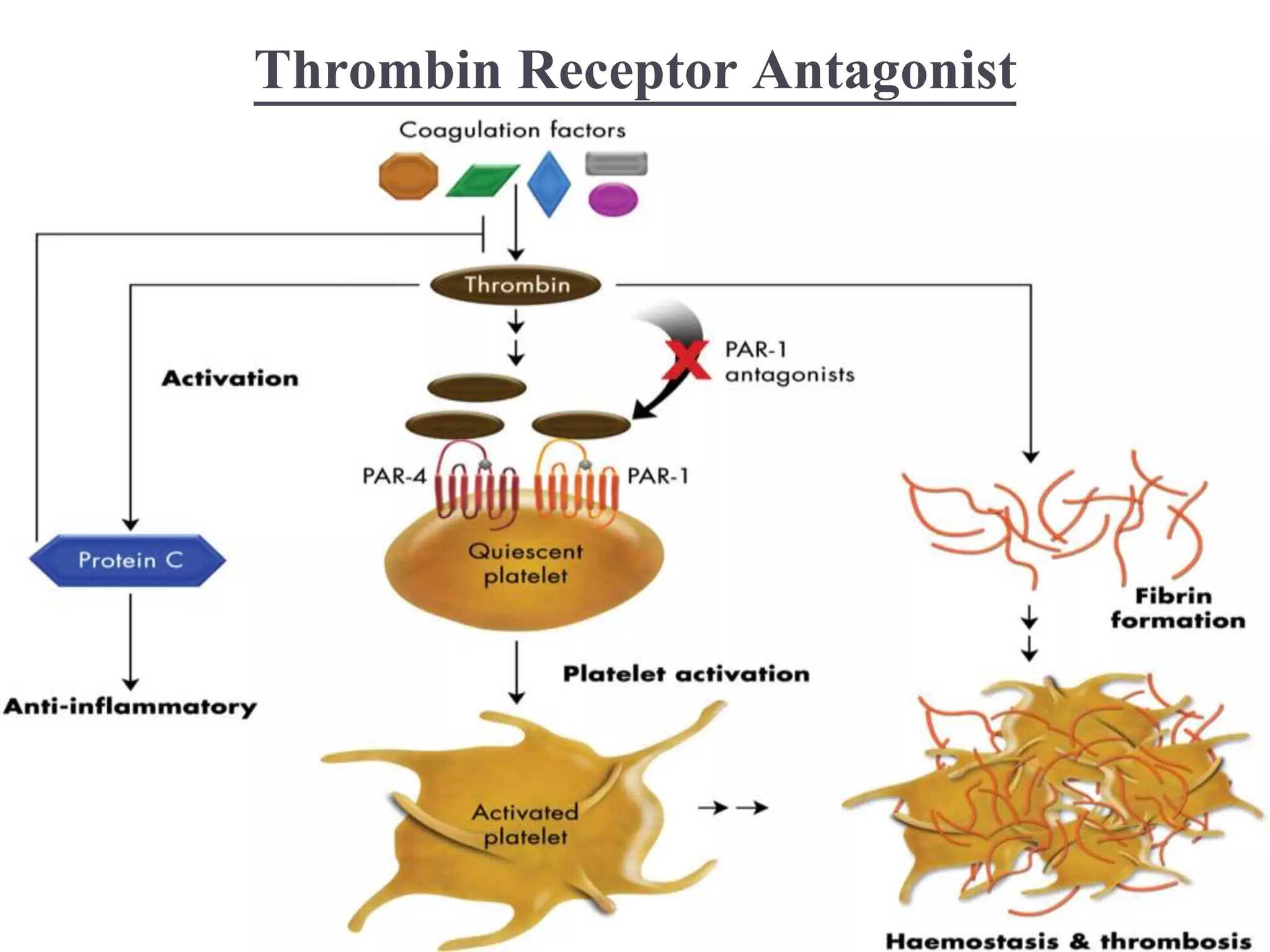 Thrombin Receptor Antagonist
 