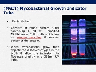 (MGIT) Mycobacterial Growth Indicator
Tube
• Rapid Method.
• Consists of round bottom tubes
containing 4 ml of modified
Middlebrooks 7H9 broth which has
an oxygen sensitive fluorescent
sensor at the bottom.
• When mycobacteria grow, they
deplete the dissolved oxygen in the
broth & allow the indicator to
fluoresce brightly in a 365nm UV
light.
 