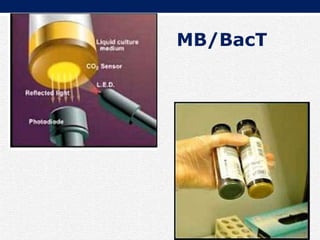 MB/BacT
 