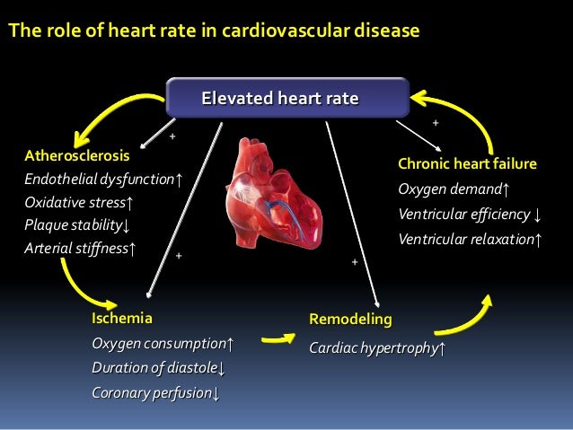 Newer drugs aliskerin and ivabradine