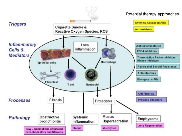 Newer Drugs In Management Of Copd 2018 Update