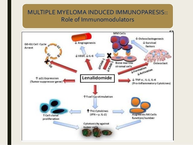 Newer drugs in multiple myeloma