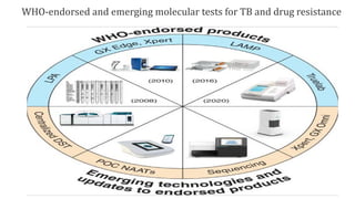 WHO-endorsed and emerging molecular tests for TB and drug resistance
 