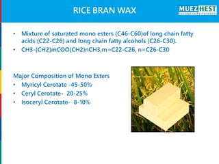 Newer Processing Methods for the Extraction and Refining Rice Bran Oil ...