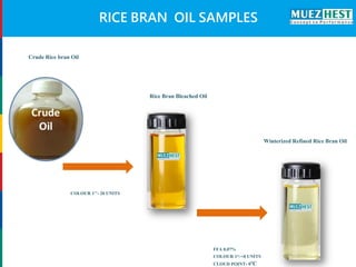 Newer Processing Methods for the Extraction and Refining Rice Bran Oil ...