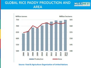 Oil Yield From Rice Newer Processing Methods for the Extraction and Refining Rice Bran Oil ...