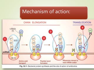 Mechanism of action:
 