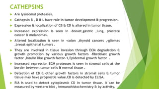 CATHEPSINS
 Are lysosomal proteases.
 Cathepsin B , D & L have role in tumor development & progression.
 Expression & localization of CB & CD is altered in tumor tissue.
 Increased expression is seen in –breast,gastric ,lung, prostate
cancer & melanomas.
 Altered localization is seen in –colon ,thyroid cancers ,-gliomas
,breast epithelial tumors .
 They are involved in tissue invasion through ECM degradation &
growth promotion by various growth factors –fibroblast growth
factor ,Insulin like growth factor-1,Epidermal growth factor .
 Increased expression ECM proteases is seen in stromal cells at the
border between tumor cells & normal tissue .
 Detection of CB & other growth factors in stromal cells & tumor
tissue may have prognostic value.CB is detected by ELISA.
 RIA is used to detect cytoplasmic CD in tumor tissue. It can be
measured by western blot , immunohistochemistry & by activity.
 