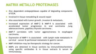 MATRIX METALLO PROTEINASES
 Zinc dependent endopeptidases capable of degrading components
of ECM.
 Involved in tissue remodeling & wound repair
 Also associated with tumor growth ,invasion & metastasis.
 Increased expression of MMP-2 & MMP-9 is associated with
accelerated tumor progression in oral carcinoma ,lung
adenocarcinoma ,papillary thyroid carcinoma .
 MMP-7 correlates with tumor aggressiveness in esophageal
carcinoma.
 Expression of MMP-1 is associated with lymph node metastasis in
cervical cancer & peritoneal metastasis in gastric cancer.
 MMP inhibition may be therapeutic strategy for cancer.
 MMPs are detected in tissue sections by immunohistochemistry
using specific antibodies & in tissue extracts & serum by
immunoassay.
 
