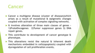  Cancer a multigene disease (cluster of diseases)which
arises as a result of mutational & epigenetic changes
coupled with activation of complex signaling networks.
 It involves alteration of three main classes of genes –
1)ProtoOncogenes 2)Tumor suppressor genes 3) DNA
repair genes.
 This contribute to development of cancer genotype &
phenotype.
 This alterations resist the natural & inherent death
mechanisms embedded in cells(apoptosis) coupled with
dysregulation of cell proliferation events.
Cancer
 