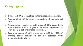 C- myc gene
 Binds to DNA & is involved in transcription regulation.
 Gene product p62 is located in nucleus of transformed
cells.
 Translocation results in activation of this gene & is
associated with poor prognosis. Increased expression is
seen in T & B cell lymphoma ,sarcoma .
 Over expression of p62 is also seen in70 to 100% of
primary breast cancers & can be detected with
immunohistochemistry.
 