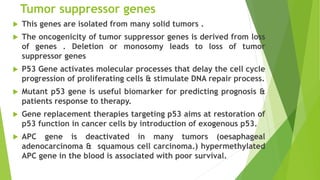 Tumor suppressor genes
 This genes are isolated from many solid tumors .
 The oncogenicity of tumor suppressor genes is derived from loss
of genes . Deletion or monosomy leads to loss of tumor
suppressor genes
 P53 Gene activates molecular processes that delay the cell cycle
progression of proliferating cells & stimulate DNA repair process.
 Mutant p53 gene is useful biomarker for predicting prognosis &
patients response to therapy.
 Gene replacement therapies targeting p53 aims at restoration of
p53 function in cancer cells by introduction of exogenous p53.
 APC gene is deactivated in many tumors (oesaphageal
adenocarcinoma & squamous cell carcinoma.) hypermethylated
APC gene in the blood is associated with poor survival.
 