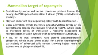Mammalian target of rapamycin
 Evolutionarily conserved serine threonine protein kinase that
belongs to PIKK (phosphoinositide 3 kinase (PI3K) –related kinase
) family .
 Plays an important role regulating cell growth & proliferation .
 Upon activation mTOR increases phosphorylation levels of its
downstreams targets that include P70S6K & 4EBP1, which leads
to increased levels of translation , ribosome biogenesis &
reorganization of actin cytoskeleton & inhibition of autophagy .
 A no. of m TOR inhibitors have potent anti-proliferative
properties which make them useful for cancer chemotherapy
particularly of advanced solid tumors showing higher levels of
expressions of phosphorylated S6.
 