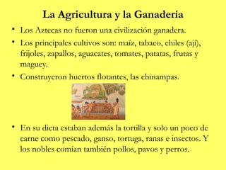 La Agricultura y la Ganadería
• Los Aztecas no fueron una civilización ganadera.
• Los principales cultivos son: maíz, tabaco, chiles (ají),
  frijoles, zapallos, aguacates, tomates, patatas, frutas y
  maguey.
• Construyeron huertos flotantes, las chinampas.




• En su dieta estaban además la tortilla y solo un poco de
  carne como pescado, ganso, tortuga, ranas e insectos. Y
  los nobles comían también pollos, pavos y perros.
 