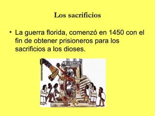 Los sacrificios

• La guerra florida, comenzó en 1450 con el
  fin de obtener prisioneros para los
  sacrificios a los dioses.
 