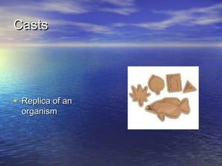 CastsCasts
• Replica of anReplica of an
organismorganism
 