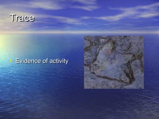 TraceTrace
• Evidence of activityEvidence of activity
 